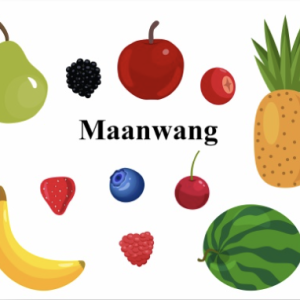 Aaniish enaandeg maanda?