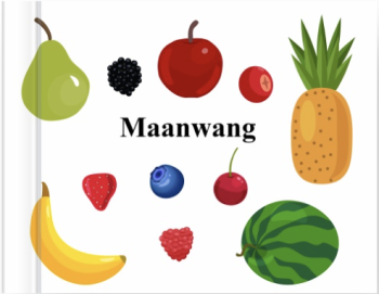Aaniish enaandeg maanda?