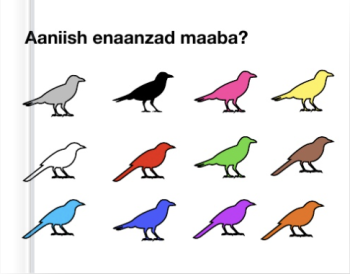 Aaniish enaanzad maaba?