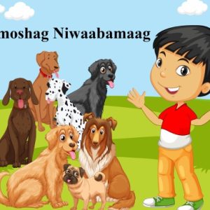 Nimoshag Niwaabamaag