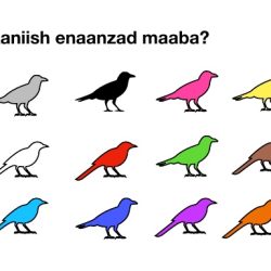 Aaniish enaanzad maaba?