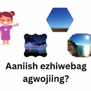 Aaniish ezhiwebag agwojiing?