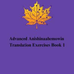 Advanced Anishinaabemowin Translation Exercises Book 1
